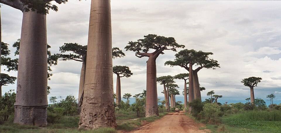 eSIM Madagascar