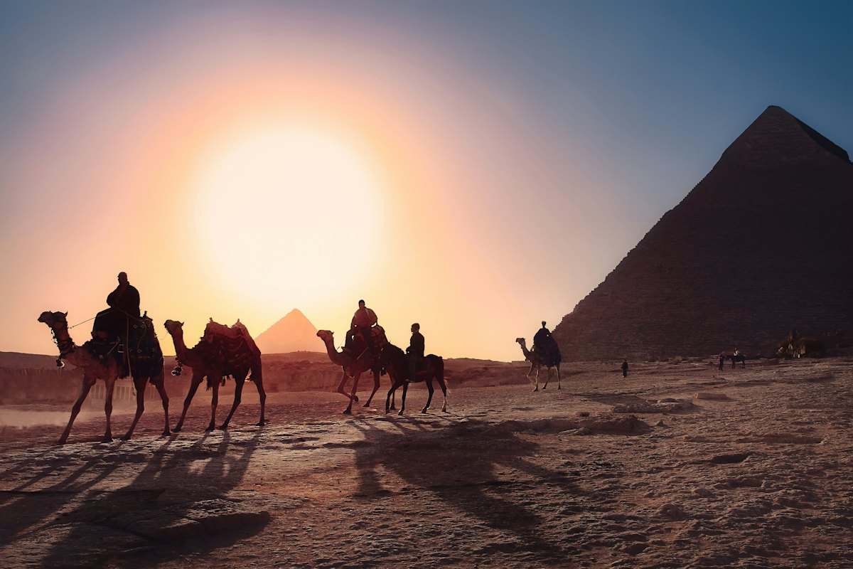 Camelos e pirâmides do Egito contra o sol baixo no deserto